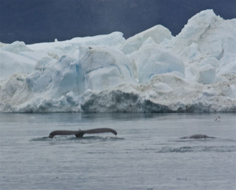 Ilulissat (9).jpg - Ilulissat